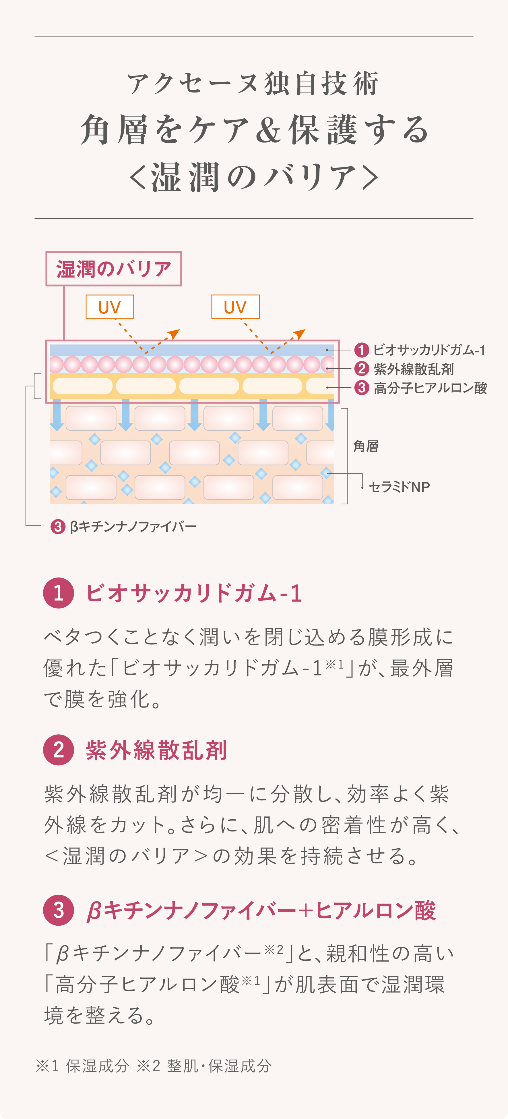 アクセーヌ独自技術 角層をケア＆保護する＜湿潤のバリア＞ 1 ビオサッカリドガム-1 ベタつくことなく潤いを閉じ込める膜形成に優れた「ビオサッカリドガム-1※1」が、最外層で膜を強化。 2 紫外線散乱剤 紫外線散乱剤が均一に分散し、効率よく紫外線をカット。さらに、肌への密着性が高く、＜湿潤のバリア＞の効果を持続させる。 3 βキチンナノファイバー＋ヒアルロン酸 「βキチンナノファイバー※2」と、親和性の高い「高分子ヒアルロン酸※1」が肌表面で湿潤環境を整える。 ※1 保湿成分 ※2 整肌・保湿成分
