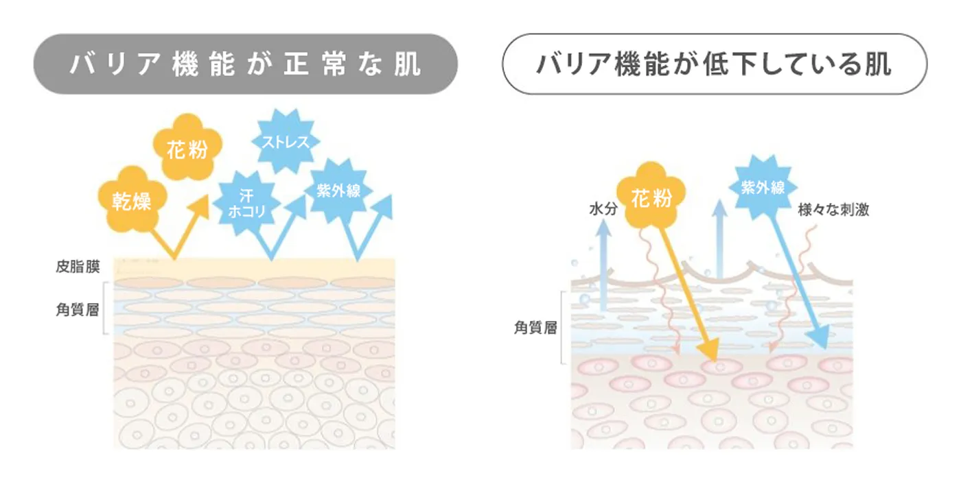 バリア機能が正常な肌とバリア機能が低下している肌の比較を表したイラスト