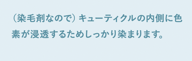 （染毛剤なので）キューティクルの内側に色素が浸透するためしっかり染まります。