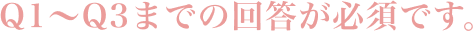 Q1～Q3までの回答が必須です。
