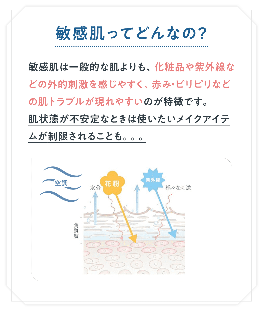 AD製品画像